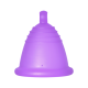 Size: XL,  Colour: Purple,  Type: Ball